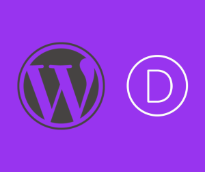 Divi Support